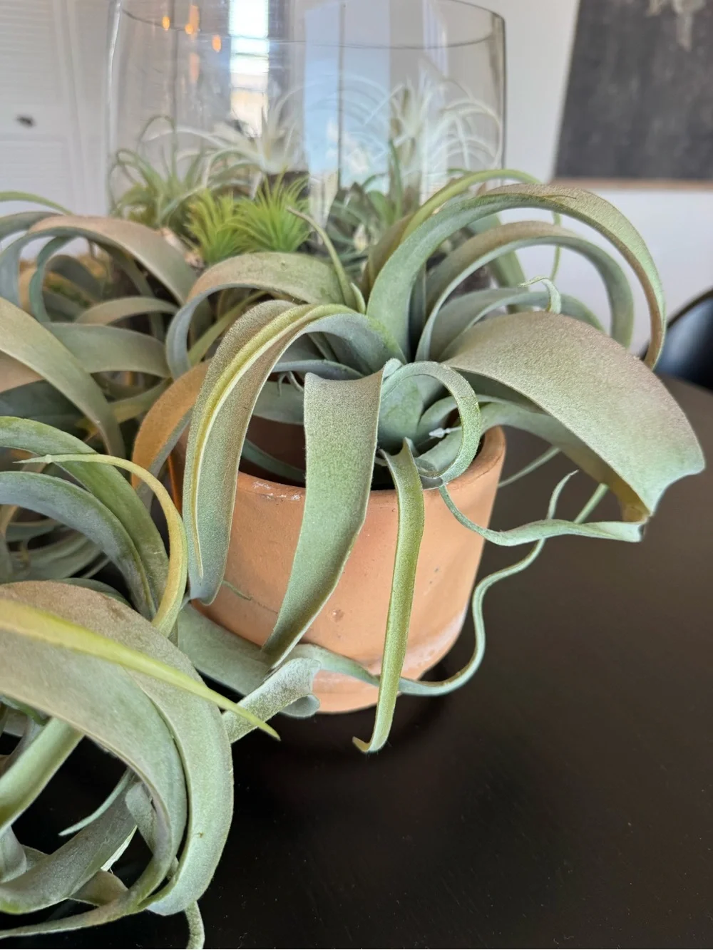 Artificial Air Plants. Large & Small *pot not included*